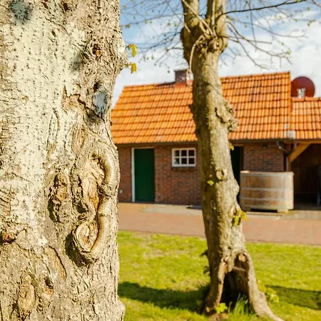 Reetdach Ostfriesenhaus 別荘 Südbrookmerland