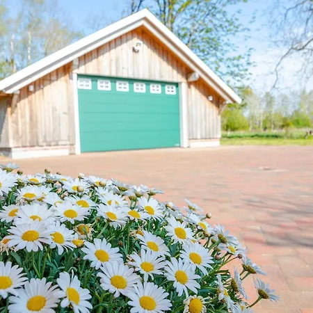 Reetdach Ostfriesenhaus *