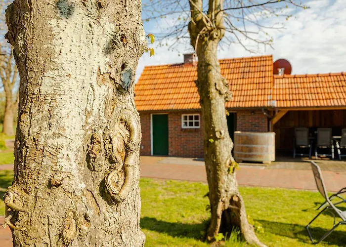 Reetdach Ostfriesenhaus Casa vacanze Südbrookmerland