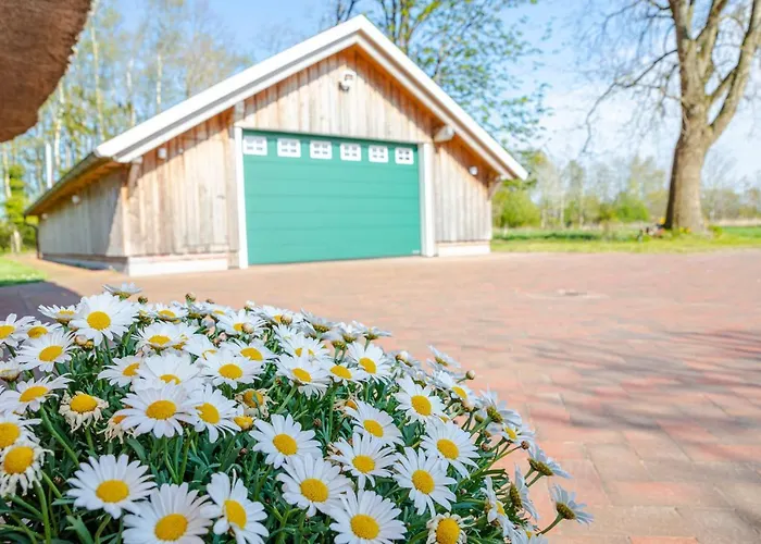 Reetdach Ostfriesenhaus *